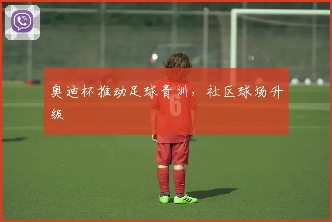 奥迪杯推动足球青训，社区球场升级