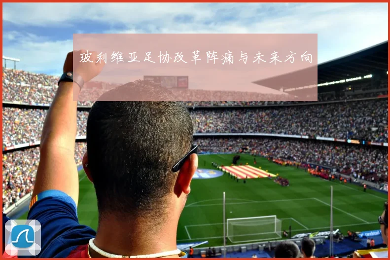 玻利维亚足协改革阵痛与未来方向
