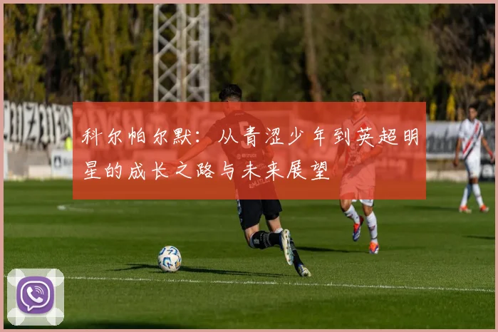 科尔帕尔默：从青涩少年到英超明星的成长之路与未来展望